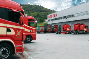 Transportes Gacela Burgos flota de camiones